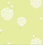 Giấy dán tường trẻ em